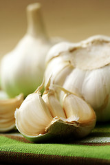 Image showing garlic