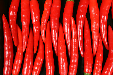 Image showing Red chilli peppers.