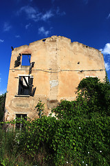 Image showing overgrown house