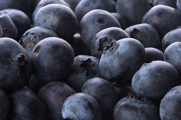 Image showing blueberry background