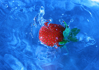 Image showing cold and refreshing