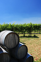 Image showing barrels of wine