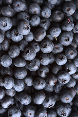 Image showing fresh blueberry background