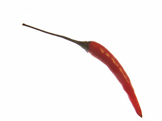 Image showing Red Chilli Pepper