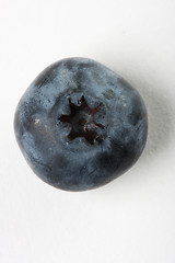 Image showing blueberry macro