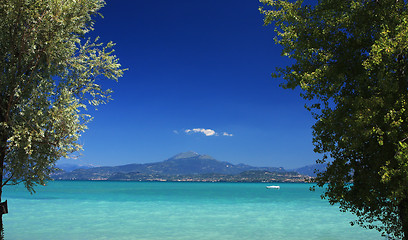 Image showing summer scene