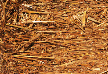 Image showing straw background