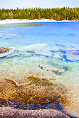 Image showing Clear water at shore of Georgian Bay