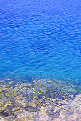 Image showing Blue water at shore of Georgian Bay