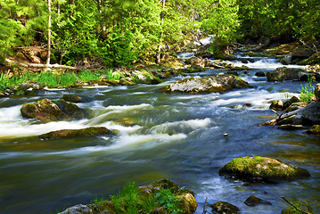 Image showing River through woods