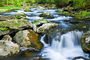 Image showing River through woods