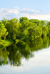 Image showing Trees reflecting in river