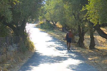 Image showing Walking in sunshine