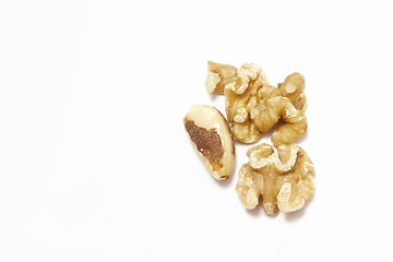 Image showing walnuts and brazil nuts
