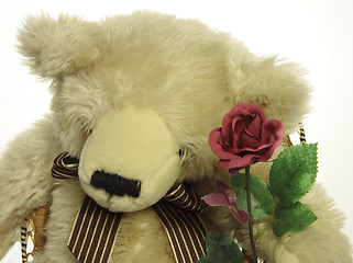 Image showing teddy bear with a red rose