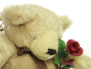 Image showing teddy bear with a red rose