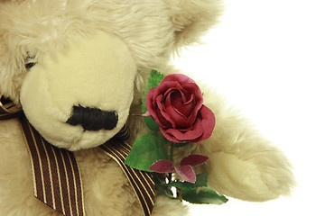 Image showing teddy bear with a red rose