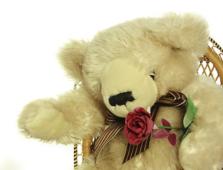 Image showing teddybear with a red rose