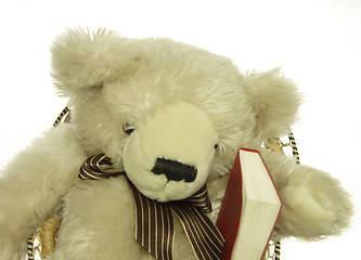 Image showing teddy bear with a red psalm book