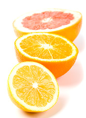 Image showing lemon, orange and grapefruit