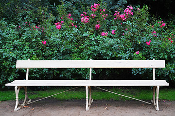 Image showing Bench and roses