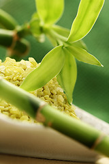 Image showing bath salt with green bamboo