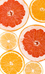 Image showing lemon, orange and grapefruit