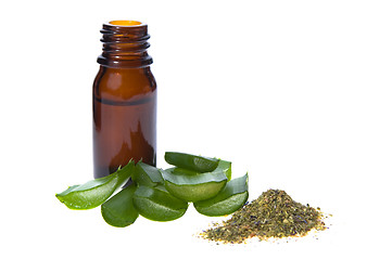 Image showing aloe vera - alternative therapy