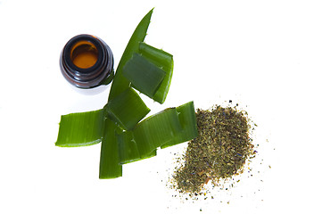 Image showing aloe vera - alternative therapy