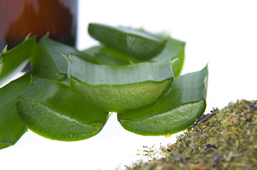 Image showing aloe vera - alternative therapy