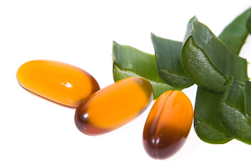 Image showing aloe vera - alternative therapy