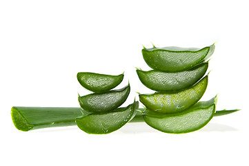 Image showing aloe vera - alternative therapy