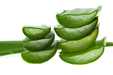 Image showing aloe vera - alternative therapy