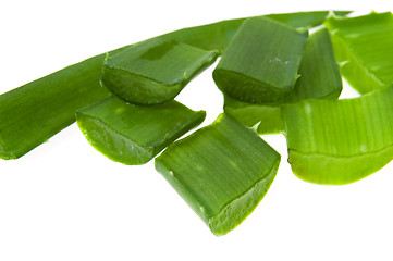 Image showing aloe vera - alternative therapy