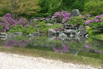 Image showing Blooming Japanese garden reflecting in pond