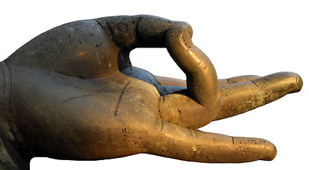 Image showing Buddha's hand