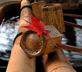 Image showing Leaf And Laddle