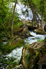 Image showing River through woods