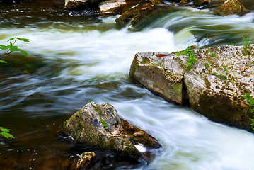 Image showing River through woods