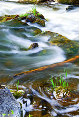 Image showing River through woods