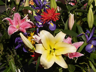 Image showing Bunch of flowers