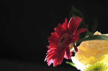 Image showing red zinnia and yellow carnation