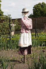 Image showing scarecrow in avegetable garden