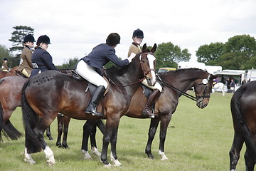 Image showing county show dressage 