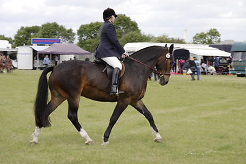 Image showing county show dressage 