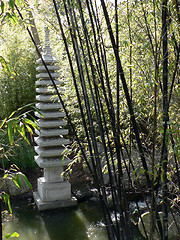 Image showing Black Bamboo
