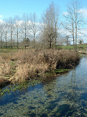 Image showing Crystal Clear River