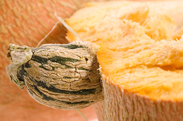 Image showing pumpkin half