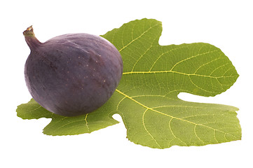 Image showing fresh figs