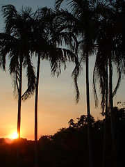 Image showing Darwin Sunset